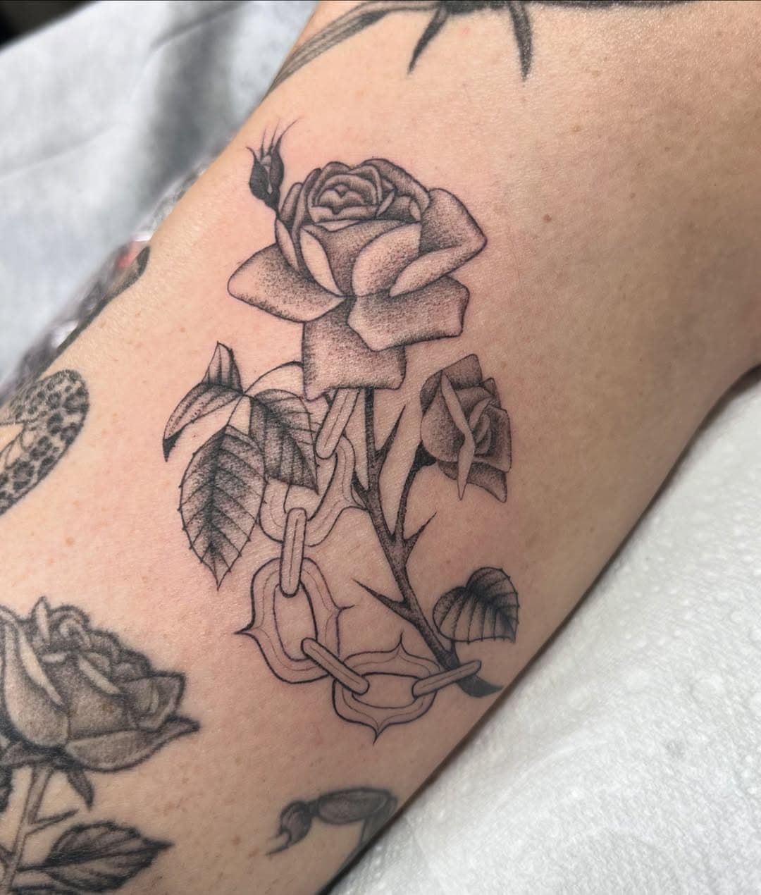 🌹⛓️‍💥for @gemmaoram_ ⛓️‍💥🌹
.
.
.
.
.
#melbourne #melbournetattoo #fineline #finelinetattoo #botanical #tattoo #rosetattoo