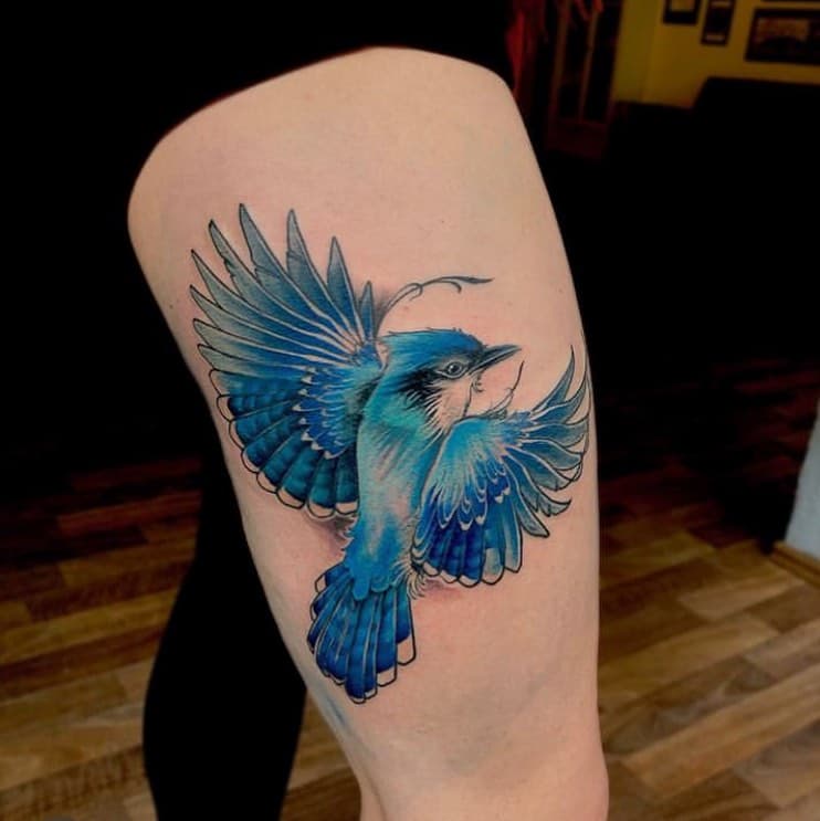 #bluejay
.
.
.
#neotrad #neotraditionaltattoo #neotraditional 
#blutkunst #blutkunsttattoo #blutkunstfreiburg #freiburgtattoo  #freiburgliebe #whatthefreiburg #freiburg #freiburgimbreisgau #colortattoo #colorful