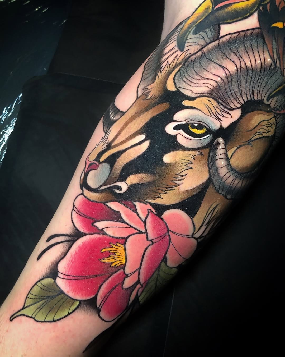 Goat
Done at @inklabs_nuernberg 
Using @rghtstuff @hornetarttattoosupply