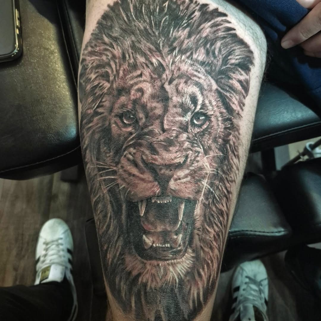 Full front thigh Lion head done over 2 days on Scott's leg.

#blackandgreytattoo #bng ##bngtattoo ##bngtattoos #blackandgrey #blackandgreytattoos #bngink #Lion #lionhead #liontattoo #lionheadtattoo #lionheadtattoos #ink #inked #tattoo #tat #tattoos #tattooartist #tattooart #dynamic #dynamicblackink #dynamictripleblack #dynamicwhite #dynamicwhiteink #valknutrotary #valknuttattoomachine