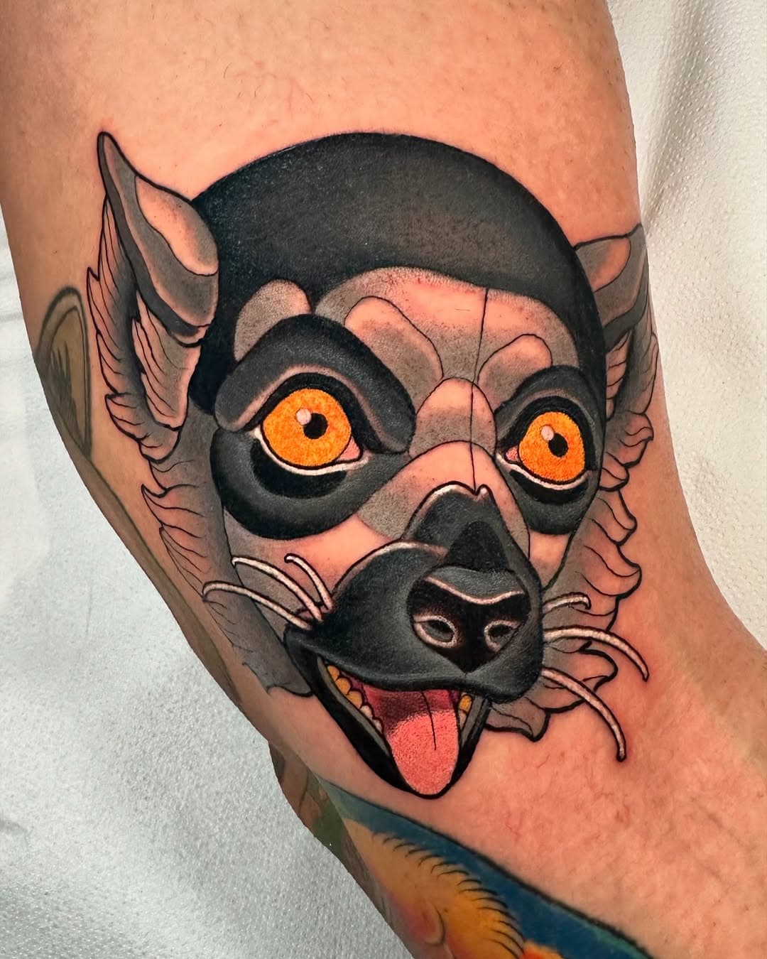 Aquí os dejo este lemur para la pierna de animales de @adrian.archie , mil gracias por la confianza y el aguante crack! Realidado en @62rosastattoo , espero que os guste, un saludico a tod@s! ☺️
.
.
.
.
.
.
.
#tattooed #tatuaje #tattoo #tattoos #tattooer #tattooink #tattoosnob #zaragoza #zaragozatattoo #igers #igerszaragoza #barcelonatattoo #valenciatattoo #huescatattoo #neotrad #colortattoo #neotraditionaltattoo #traditionalart #neotraditional #neotradsub #tatuagem #traditionaltattoo#madridtattoo #asturiastattoo #tattooworkers #solidtattoo #tattooart #lemur #lemuranimal