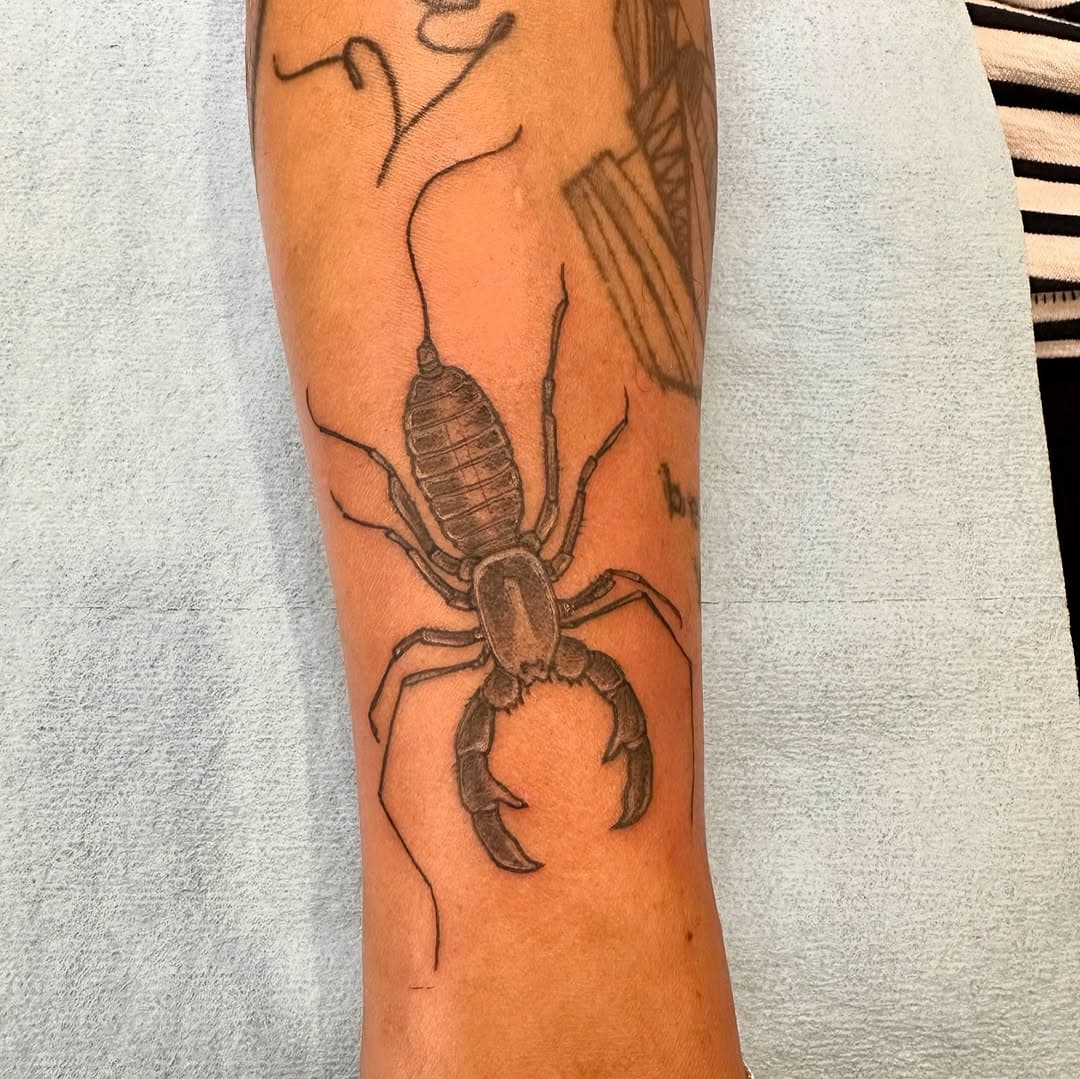 Why hello little friend 🖤

#whipscorpion #scorpiontattoo #bugtattoo #insectlovers #creepycrawly #illustration #vegantattooartist #atwatervillage #losangeles