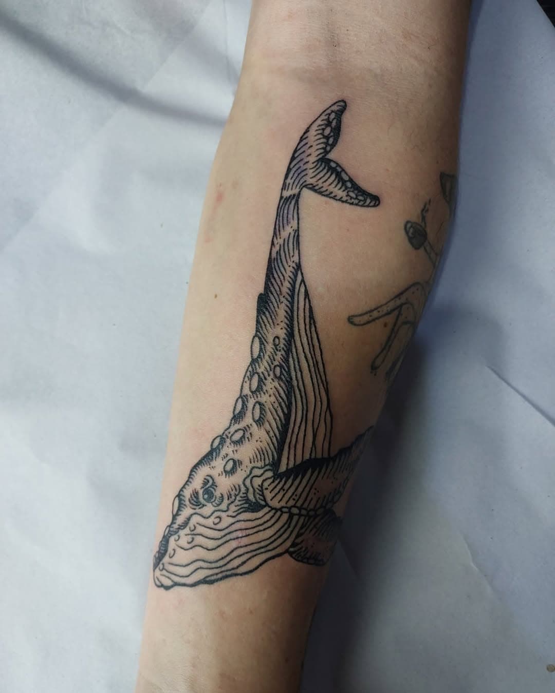 A Baleia 🐋
.
.
#engravedtattoo #engravingtattoo #tattooengraving #engravedinink #engravedart #tattooartwork #tattooideas #tattooaddict #engravingstyle #engravingdesign #engraving #engraved #hachuras #hachuratattoo #woodcuttattoo #woodcuttattoos #blacktattoo #tattooartist #tattoo2me