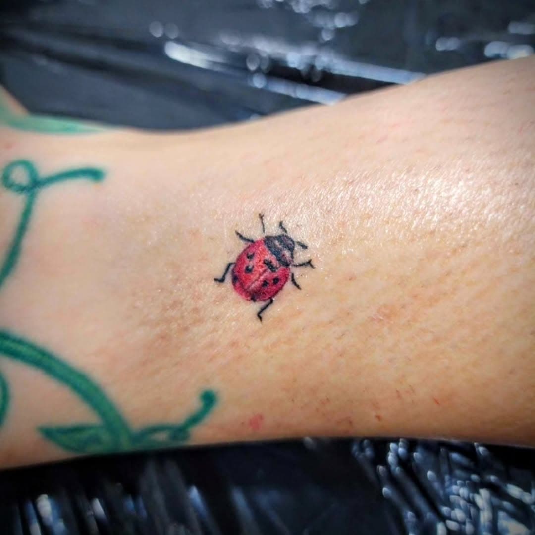 Ladybuggin!

#art #artist #artistsoninstagram #bodyart #bodyartist #bodyarttattoo #blackandgreytattoo #linetattoo #lineworktattoo #linework #tattooflash #tattooist #tattoo #tattooartist #texastattoos #texastattooartist #texastattoo #texas #tattooideas #finelinetattoo #fineline #lettering #womantattooartist #femaletatrooartist #ladytattooers #realism #realistictattoo #realismtattoo #brows #browsonfleek