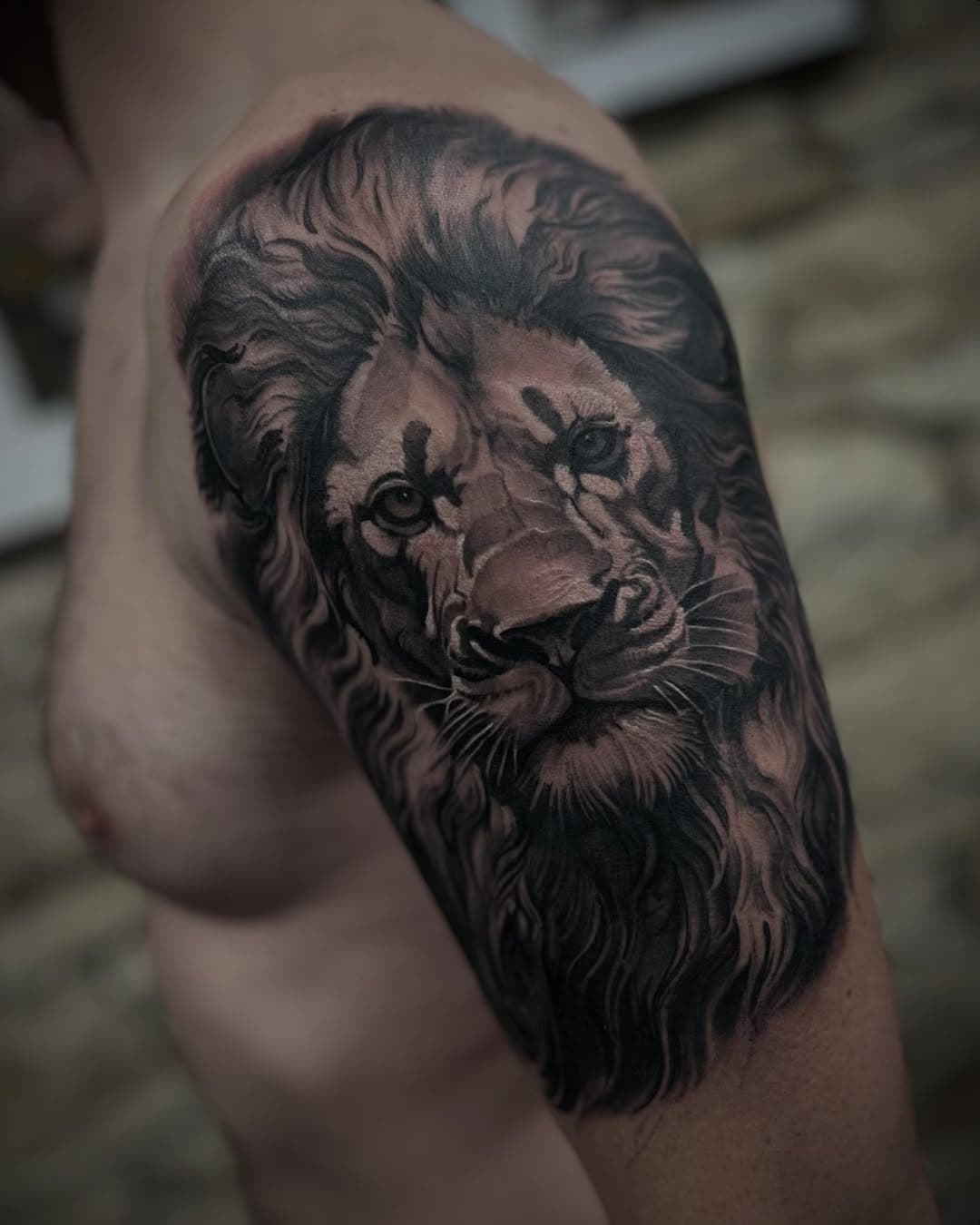 Le petit dernier pour Anthony , merci pour ta confiance !!

@otzi.fr @edgepro_needles @lucky7supplies_fr 

#tattoo #tattooart #lion #liontattoo #blackandgreytattoo #realistictattoo #lyon #lyoncity #lyontattoo #681tattoos