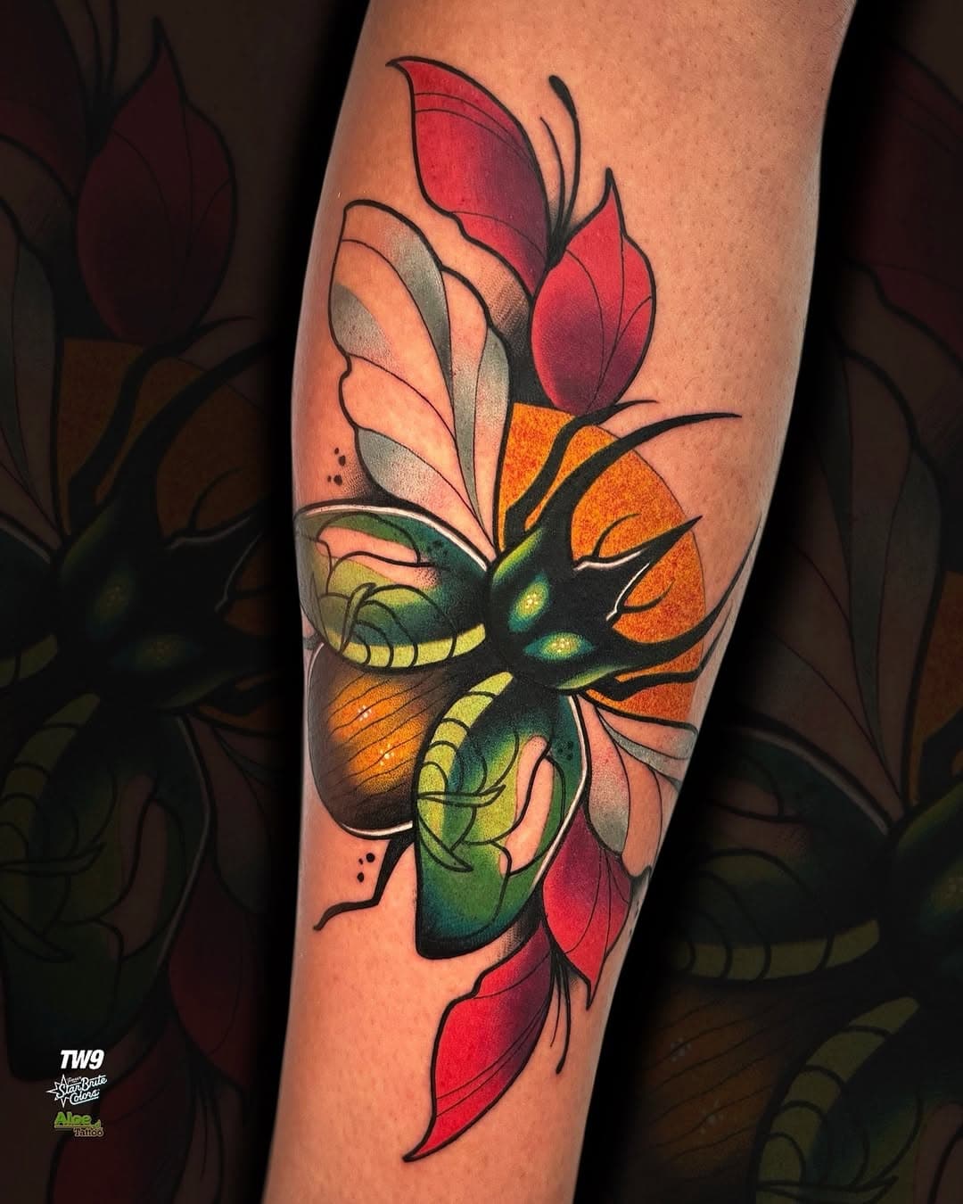 Beetle!🪲
Pieza para mi compi @ricardovillartattoo 🤟🏻

Realizado con:
@tw9machines 
@twentynineart 
@aloetattoo 
@versuscartridge 
@starbritecolors 
@musotoku 

🦀WAYAMÚ TATTOO MÁLAGA 🦀

#tattoo #tattooartist #tattoos #tattoocolor #colortattoo #fullcolortattoo #inktattoo #ink #inked #inkaddict #tattooart #neotraditionaltattoo #neotraditionalflowers #neotraditional #neotrad #neotradicionaltattoo #neotradeu #neotradicional #neotradtattoo #neotraditionaltattoos #neotradsub #neotraditionaltattooers #neotradworldwide #neotraditionaleurope #neotradstyle #neotradi #neotraditionalart #neotraditionals #neotradsp #malaga