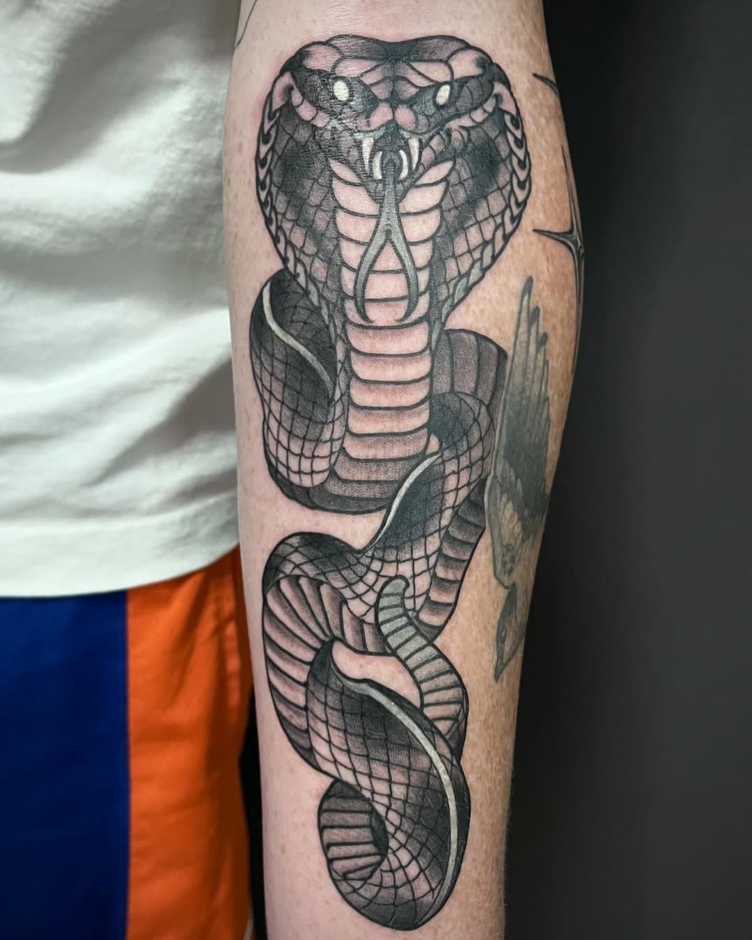 Mais algumas p/ o brother @heath_lay 
Valew manow , sem palavras como sempre !!!! 
Tmj !!!!

@ironworksbrasil 

 #tattoo #sp #tattoosp #ruaaugusta #kobra #cobra #naja #traditionaltattoo #juliocubano #tohellandback #dontbelievethehype