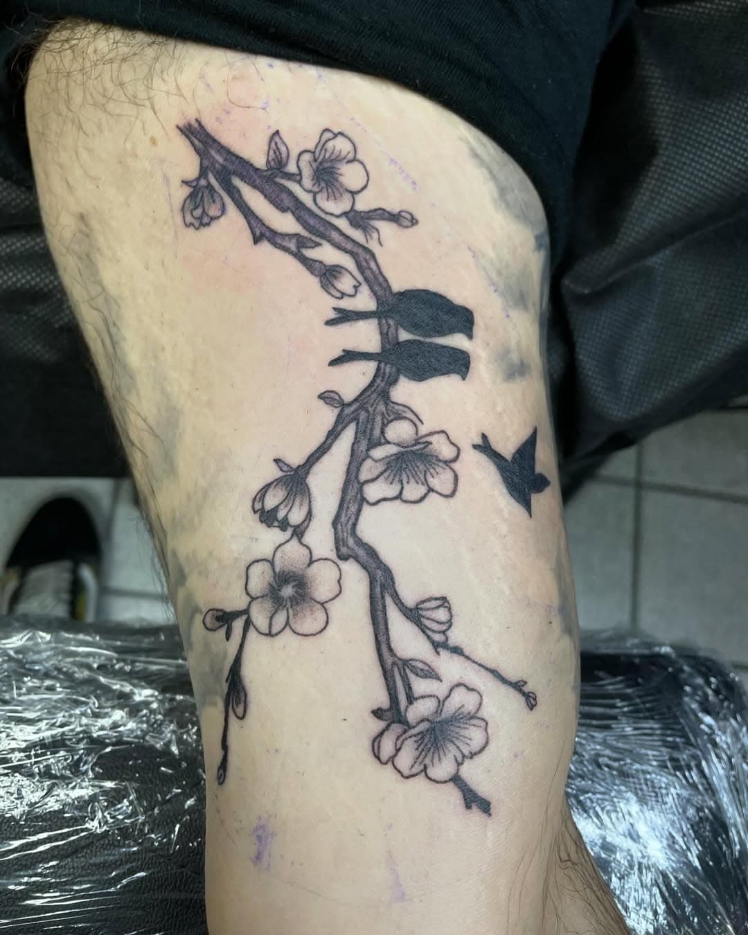 #hiddengemtattoohtx #houstontx #houstontattooartist #artlife #tattoo #blackandgreytattoo #colortattoo #cherryblossom #sunflower #tiger #oilers #dinosaur