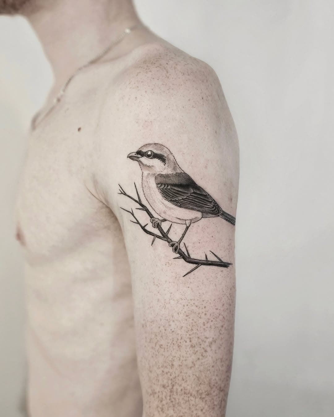 Butcher bird, butcher bird! 🔪🔪🔪
. 
THANKS!
.
Onlysadsex@gmail.com for bookings.
.
.
.
#bird #shrike #tattoo #tattooist #inked #tattooart #tattooartist #blacktattoo #thorns #tatuering #birdart #hardtattoo #newink #lund #sweden #finelinetattoo #inkedup