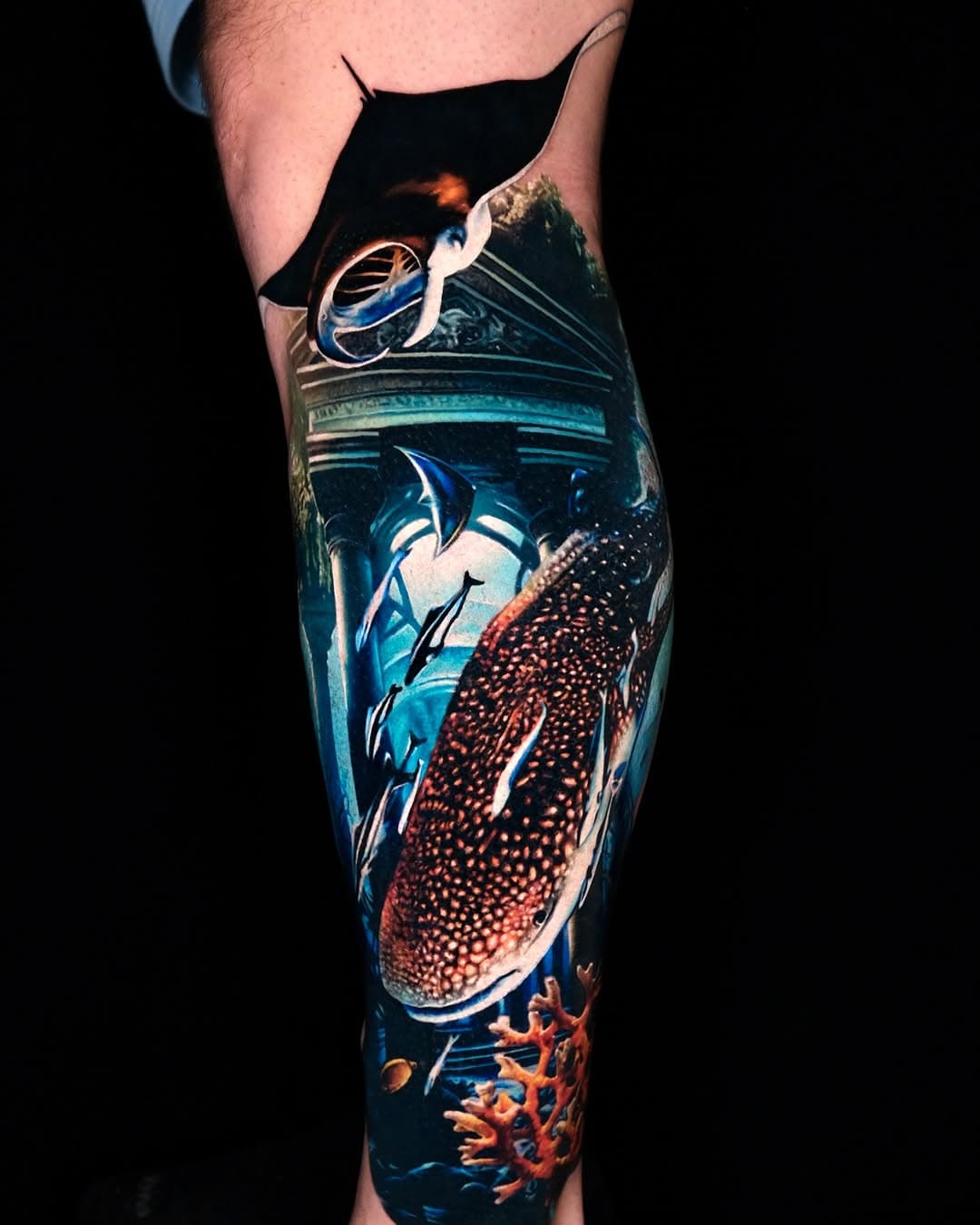 Started underwater leg sleeve few days ago🐠 
70% is healed

Done with:
@fkirons 
@kwadron 

#tattoo#tattooartist#tattooart#tattooistartmag#skinartmag#inkedmag#follow#tattooistartmagazine#ink#inked#tattooed#realism#realistictattoo#colortattoo#underwater#underwatertattoo#whale#whaletattoo#shark#sharktattoo#kwadron#kwadronneedles#kwadronproteam#kwadronwolfpack#fkirons#fkironsproteam#spektraflux #stepanovtattoo