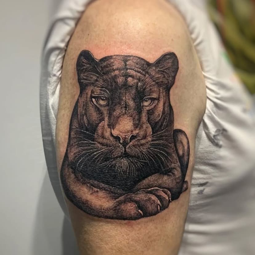 ⚫Premier tattoo pour notre client, sous les aiguilles de @bobun_tattoo

🦇Présent au salon tous les mois...

📌prochaines disponibilités les 12 et 13 décembre puis du 15 au 18 janvier...

#panther
#panthertattoo
#panthertattoos
#animaltattoo
#blackandgreytattoo
#realistictattoo
#inked
#safetattoo
#tatouages
#inkedpeople
#tattooart
#tattooartist
#realismtattoo
#portrait
#firsttattoo
#tattoospot
#normandietatouage
#evreuxtattoo