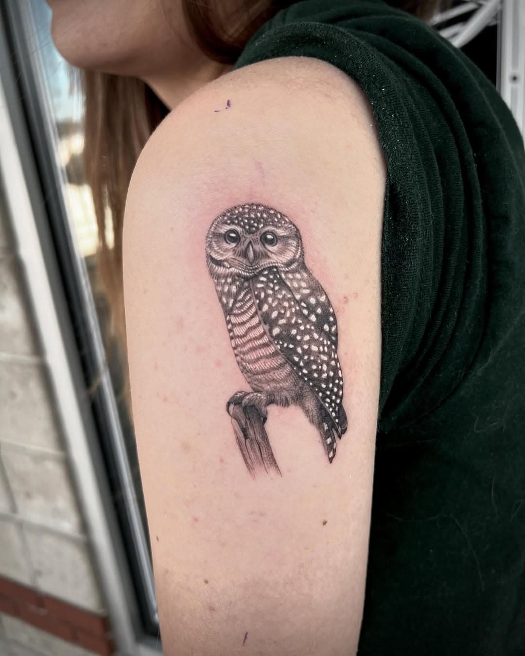 Tiny spotted owl 🦉 done a couple days back