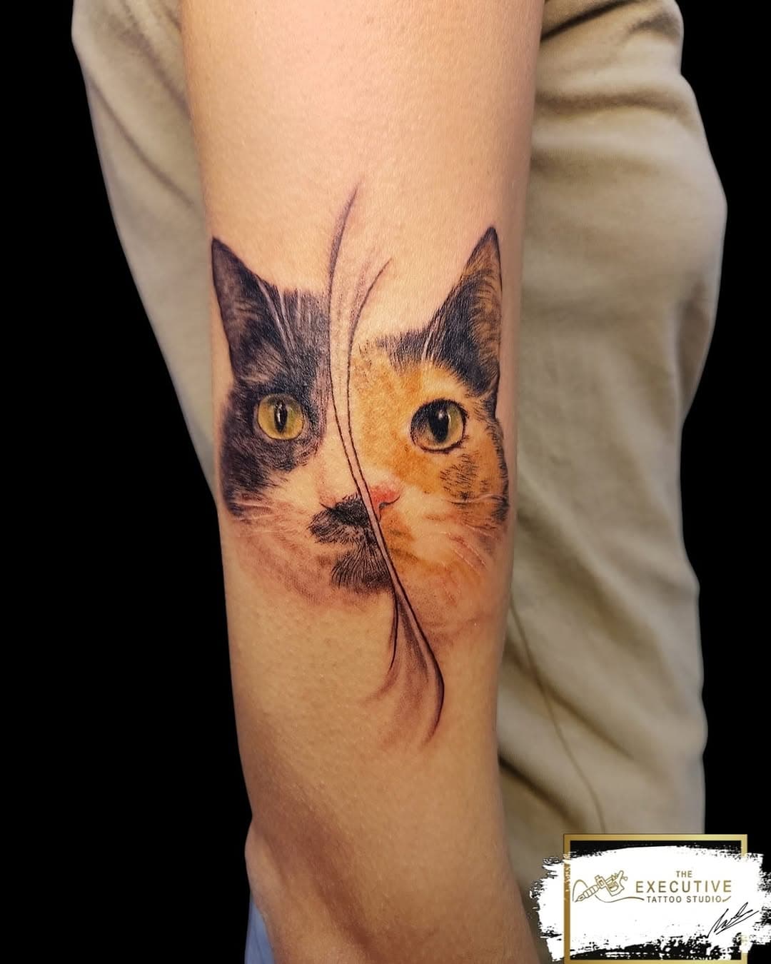 Miao 🐈‍⬛ 🐈

#tatuaggio #tattoo #cattattoo #potrait #catsofinstagram #cats #gatti #musetti #tat #genova #carlodimarzotattoo #lovetattoo #animaltattoo