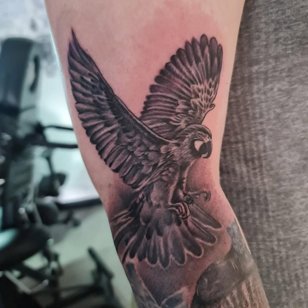 Added this cool parrot to an on going jungle themed sleeve 🖤 

#sleeve #sleevetattoo #sleeveinprogress #art #artist #tattoo #tattooartist #tattooart #tattooideas #tattoostudio #tattooinspiration #parrot #parrottattoo #realism #realismartist #banbridge #northernireland #ireland #fyp #love