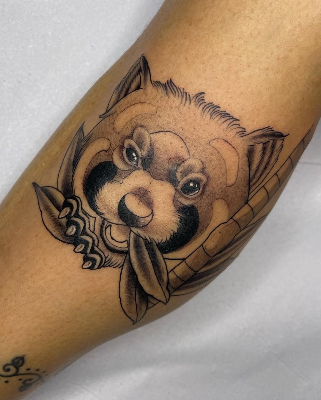 🐾✨ **Panda Vermelho** ✨🐾 

Flash feito por nosso artista @pey.ttts , trazendo toda a beleza desse animal único no estilo neotradicional! 🖤 

Nativo das florestas do Himalaia e sudoeste da China, o panda vermelho é símbolo de equilíbrio e conexão com a natureza. 🌿

#PandaVermelho #NeoTraditionalTattoo #TattooFlash #RedPanda #redpandatattoo