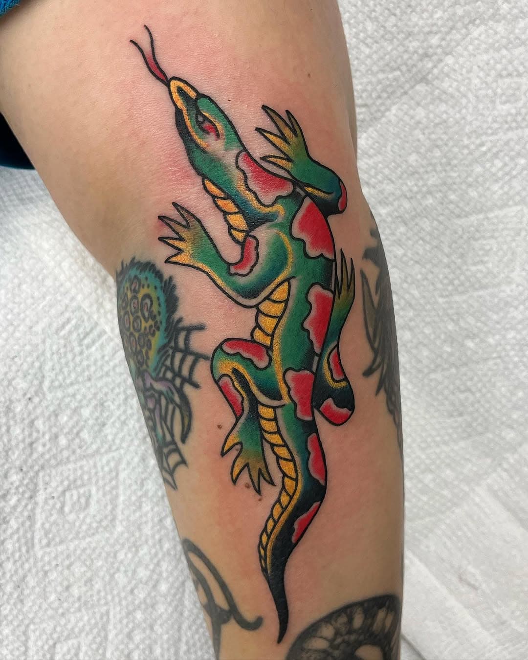 Thank you Molly! Always a pleasure 🦎