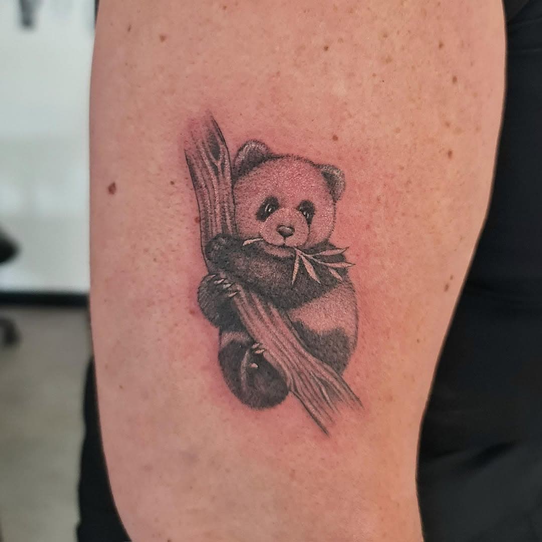 Panda 🐼 

#tattoo #tattooartist #tattooart #tattooideas #tattoodesign #tattoostudio #art #artist #banbridge #northernireland #panda #pandatattoo #tinytattoo #realism #realismtattoo #bear #animal #love