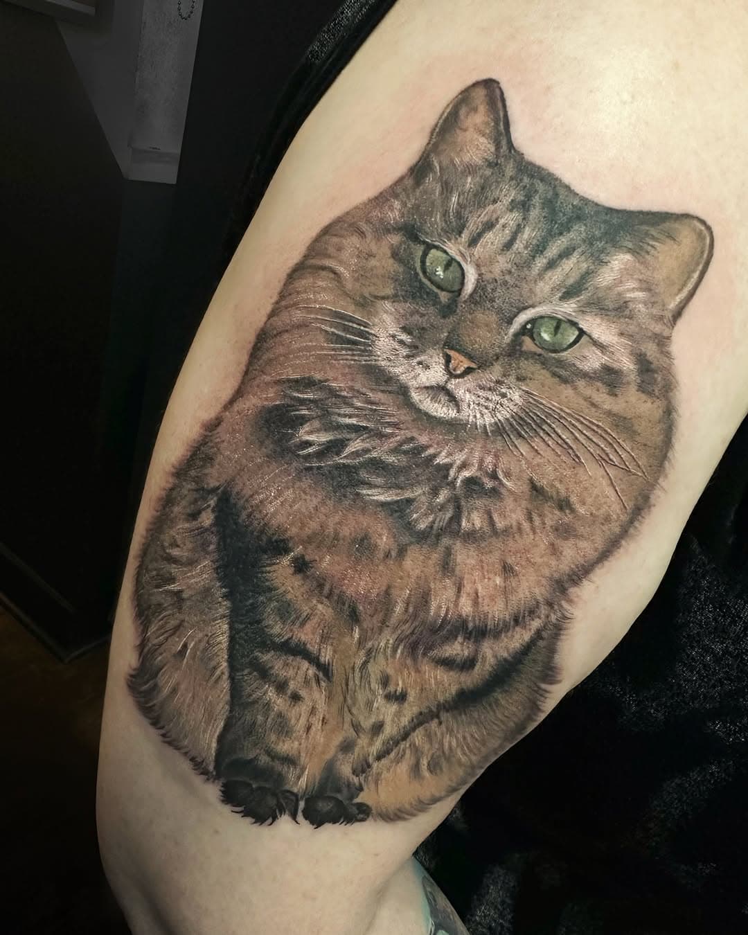 Forever with her ❤️🐱🐾

By Mel ✨ @melszeto