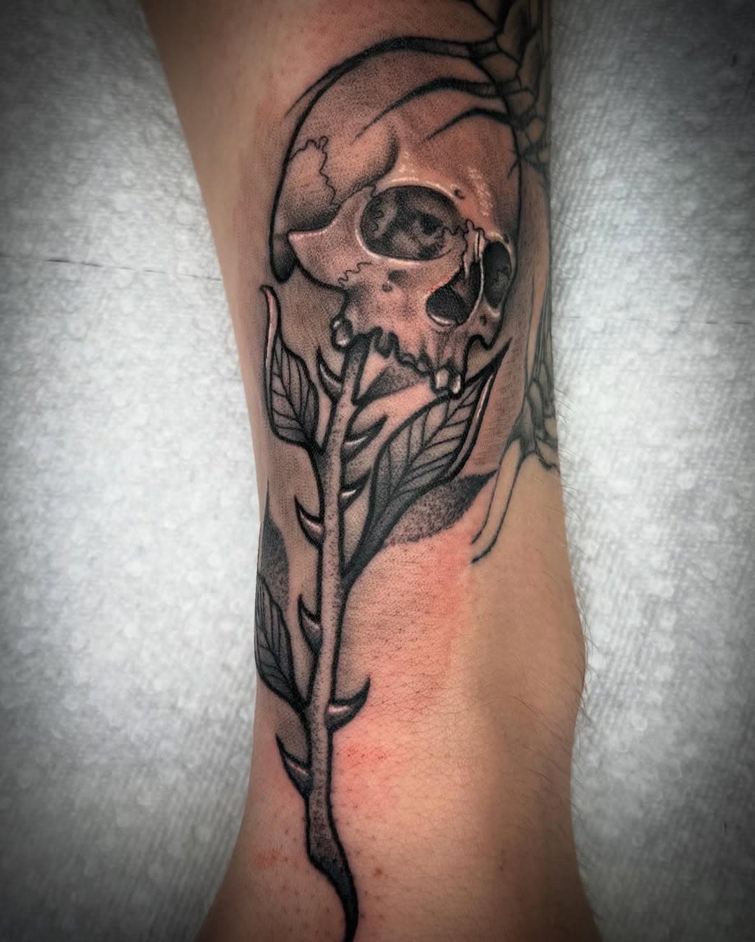 Haven’t posted in a lil while….here’s a lil skully boi I did about a month ago ☠️ Would you like to see more skulls??! Or other things? HMU, I have availability this month and January! 🤘🏻😈