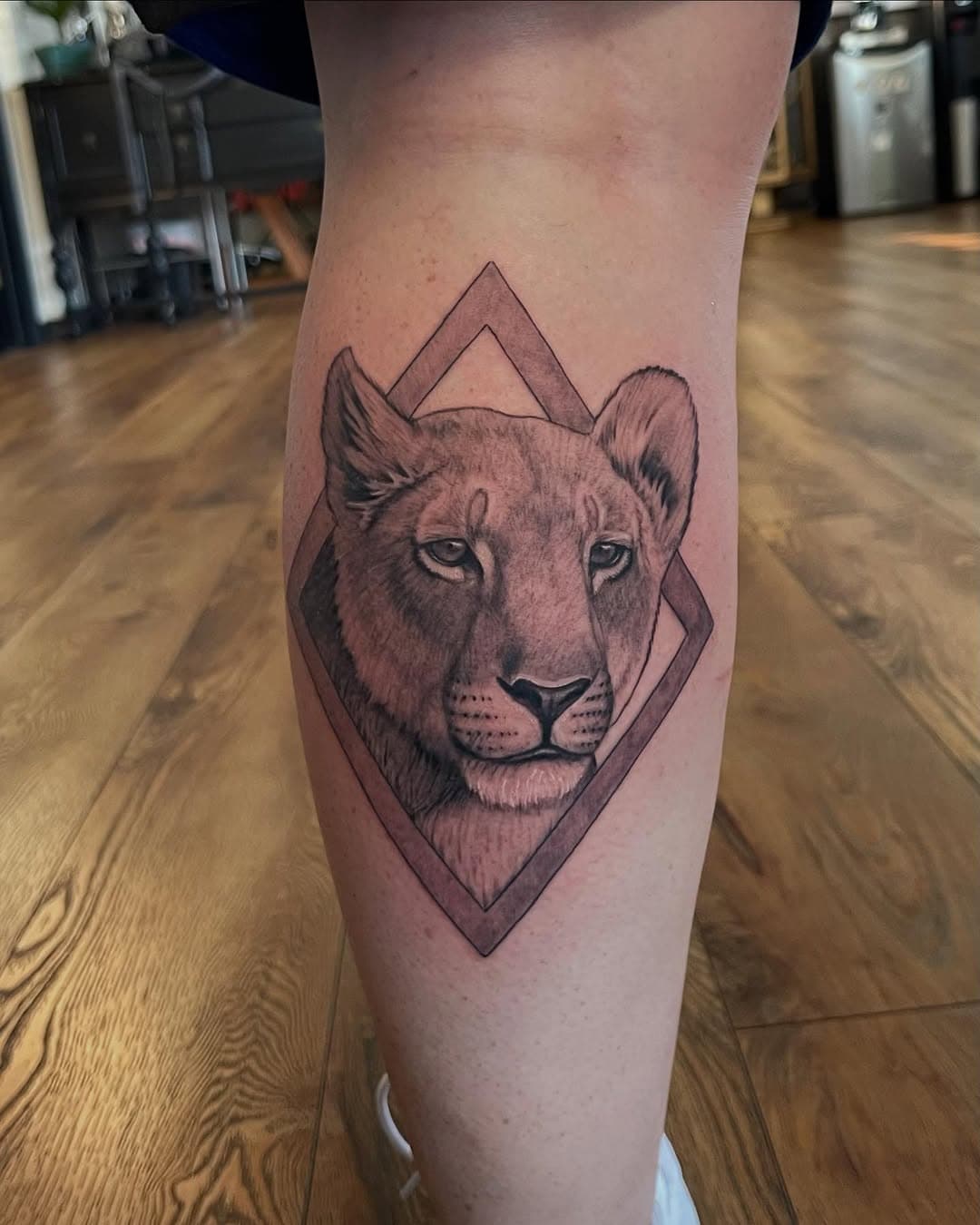 A lioness for Heather inspired by an illustration from their friend 🥳 Thanks for the trust 🙏 @warhorsetattoo #warhorsetattoo #cameronmillerart