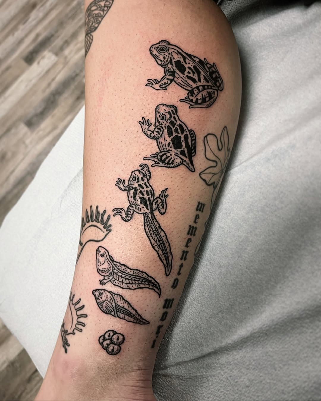 Frog life cycle! I’m always booking. Email me at rgtattooer@gmail.com #collectivetattooparlor #lasvegastattooartist #tattoo #tattooing #btattooing #blacktattoo #blackworktattoo #blackwork #linework #lineworktattoo #frog #frogtattoo