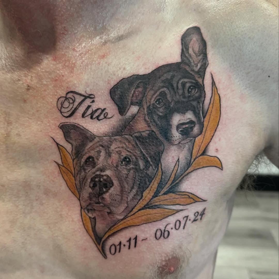 Tia, young and old for Paul. 
I love doing pet portraits, and that baby Tia is just so adorable! 🥰 please excuse the goosebumps, unavoidable this time of year after that much tattooing! 

#petpotrait #petportraittattoo #neotraditionaltattoo #neotradsub #dogportraittattoo