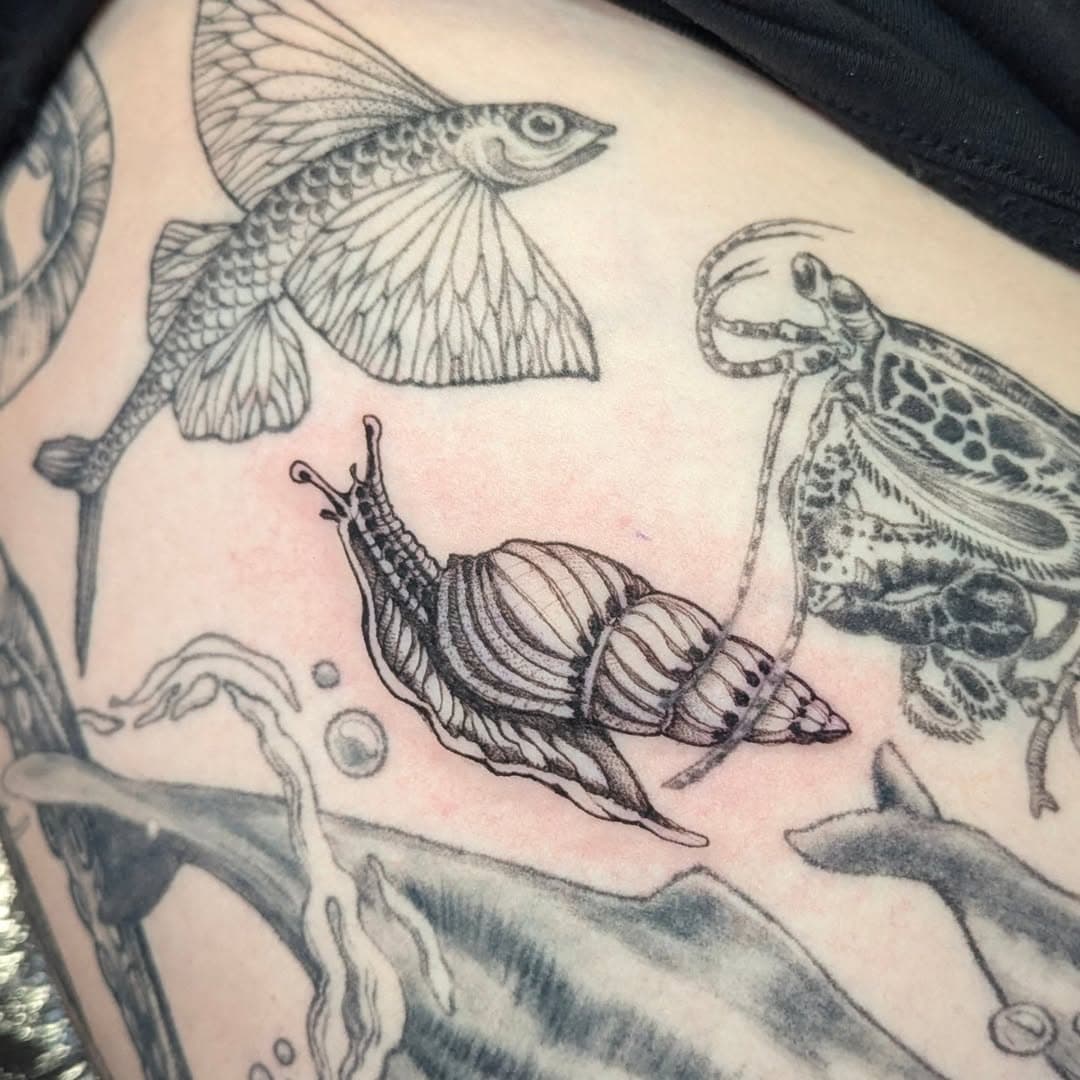 A cute water snail for Georgie, next to some older healed tattoos, also done by me 🥰 Always a pleasure tattooing you Georgie 🙏
.
For inquiries message me at flaviaverda@yahoo.com. I love tattooing botanical illustrations ,in black ink or full colours. Buuut also super cute tattoos , you can see more here @mycutecreatures 
.
#flaviaverda #bristoltattoo #botanicaltattoo #snailtattoo #cutetattoo #tattooart