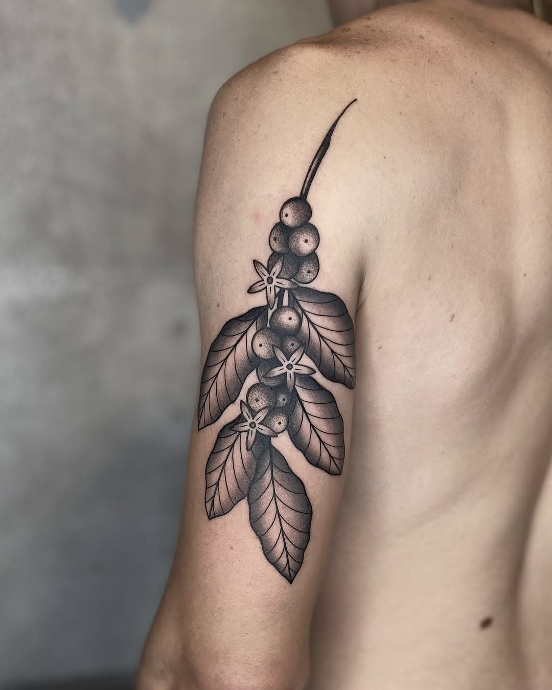 Ramo de café para o Lucas 🌿

Obrigado pela confiança! 

Feito em Milão no @purotattoostudio 

Últimos horários livres em Curitiba para este ano!
Orçamentos via e-mail: maxvorax@gmail.com

@estudiovertebra 
@pepax.official 

#tattoo #cwbtattoo #tatuagem #tattoobrasil #blackwork #blacktattooart  #tattrx #skinartmag #blackworkbrasil #theartoftattoos #contemporarytattooing #tattoodo #whipshaded #pepax #pepaxcartridges #pepaxlance #lancecartridges #pepaxproteam