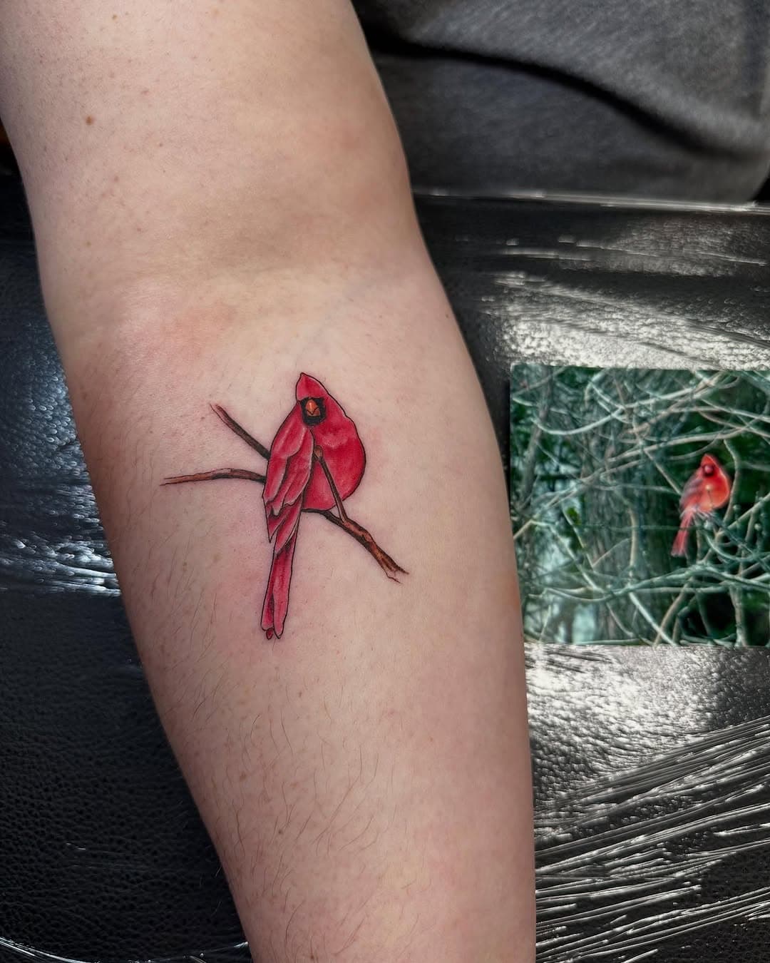 Blu’s cardinal tattoo!! This was inspired by a picture that the client brought in because someone dear to her took it! 

#musetattoo #blustattoo #tattoo #musetattoopalmyranj #musetattooandbodypiercings #muse #cardinaltattoo #cardinal #birdtattoo #bird #picture #photograph #photography