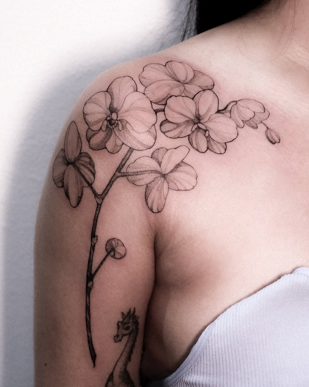 Orchids. Just 2 hours of work!
A great example of when proper preparation for the session was done.
Please remember to moisturize your skin with a hydrating cream starting a week before your session—this significantly eases my work and speeds up the process.
Beautiful result!

Support @hustlebutterdeluxe @pepax.official 
#zozutattoo

#tattooflowers #blackink #blackarttattoo #blacktattoo #blackandgreytattoo