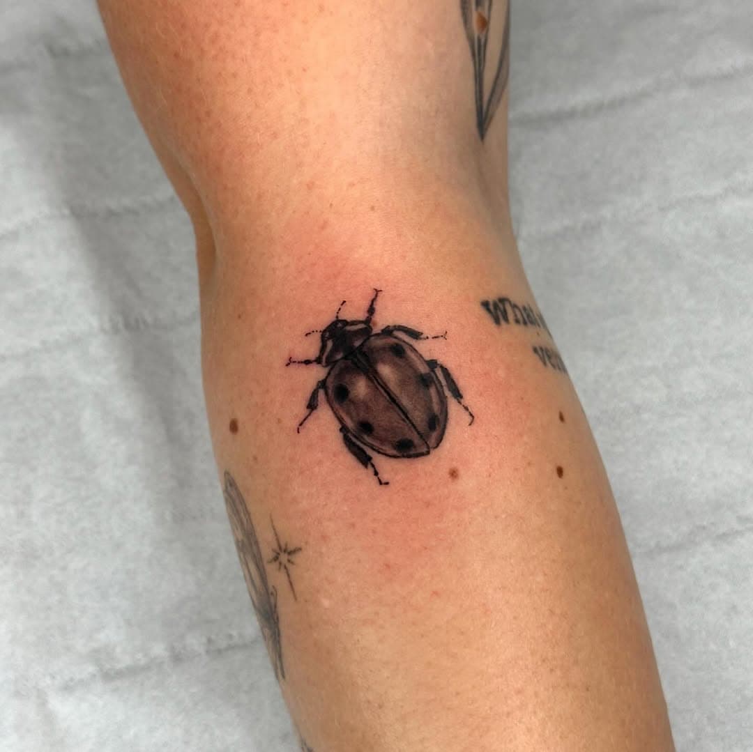 Stuff like this is always welcome ☺️
Taking bookings for December and January ✨
@magic.tattooing 
.
.
.
.
#tinytattoo #ladybugtattoo #brightontattooartists #blackandgreytattoo #ladytattooers #rotaryworks #killerink