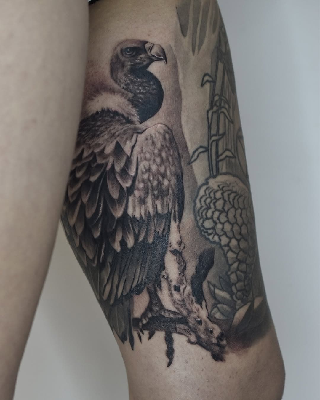 Indian vulture.
For long time client Gabby. 
Thankyou

Books open > link in bio

#indianvulture #extinct #tattoos #mrjbest