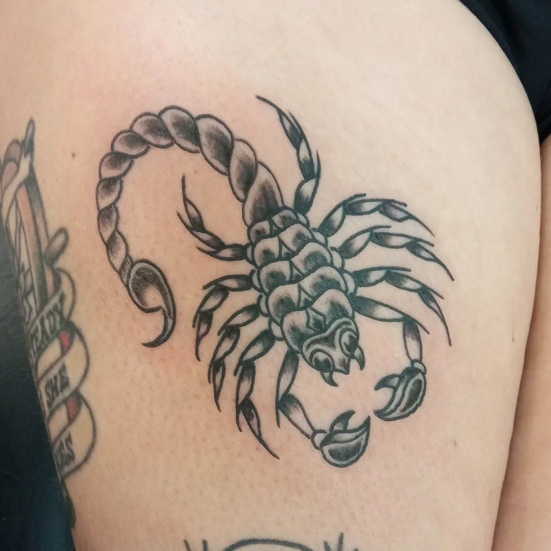 Fun little scorpion action on my homie