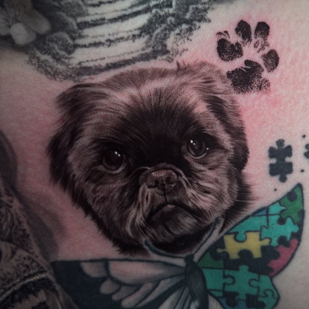 Would you get your dog tattooed on you? This main character energy Lil gap filler For @henry_taylor0983 

Sponsored by @killerinktattoo 

#tattoo #tattoos #tattooed #tatt #tattooist #tattooartist #ink #inked #empireinks #killerink #fkirons #xion #butterluxe_uk #inkeeze #kwadron #art #artist #dog #dogtattoo #pet #petlovers #pets #portrait