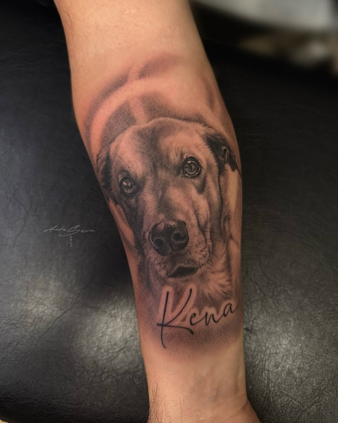 Fresh/Healed ✨🦮

#dogportrait#dogtattoo#doggy#dog#perro#perrotattoo#tattoo#retratotattoo#mascotatattoo#blackandgreytattoo#realistictattoo#realismotattoo#blacktattoo#pet#pettattoo#donostitattoo#sansebastiantattoo#sansebastian#spain