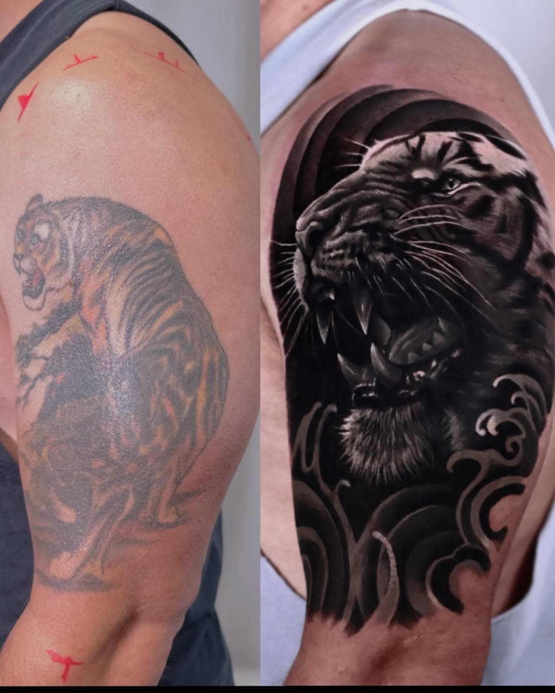 A little before and after of this coverup🪄✨|
-
-
-
#dallastattooartist #dallastattoos #dallastattoo #dallastattooshop #dallastattooartists #dfwtattoos #dfwtattooartist #dfwtattoo #texastattooartist #texastattoo #texastattoos #texastattooer #blackandgrey #tattoocover #tattoocoverup #tattoocollector #tigertattoo #coverup #coveruptattoo #tattooideas #tattoosleeve