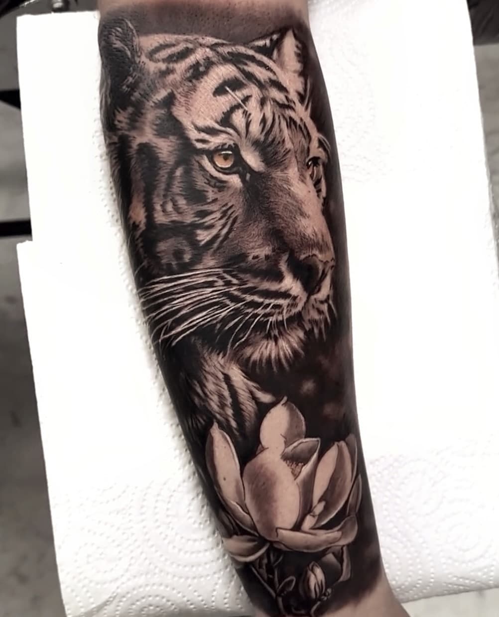 Tigre.
—
@fkirons @vicecolors_official @tattooproton @versuscartridge
—
#thebestspaintattooartists #blackandwhitetattoo #portraittattoo #realistictattoo #tattooed #tattoo2me #realismotattoo #tattoolife #instagram #tattoo #bodyart #tattooart #viralpost #viralinstagram #viralvideos #viral