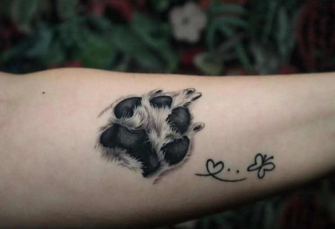 Für immer im Herzen 🐾✨ Dieses Tattoo ist mehr als nur Kunst – es ist eine liebevolle Erinnerung an einen treuen Begleiter. Die Details und die Emotionen dahinter machen es einzigartig. ❤️🦋

Hast du auch ein Tattoo mit einer besonderen Bedeutung? Teile deine Geschichte mit uns! 🖤

#Pfotenliebe #TattoosMitBedeutung #Tierliebe #ForeverInMyHeart #TattooInspiration #realistictattoo #dogtattoo #doglover