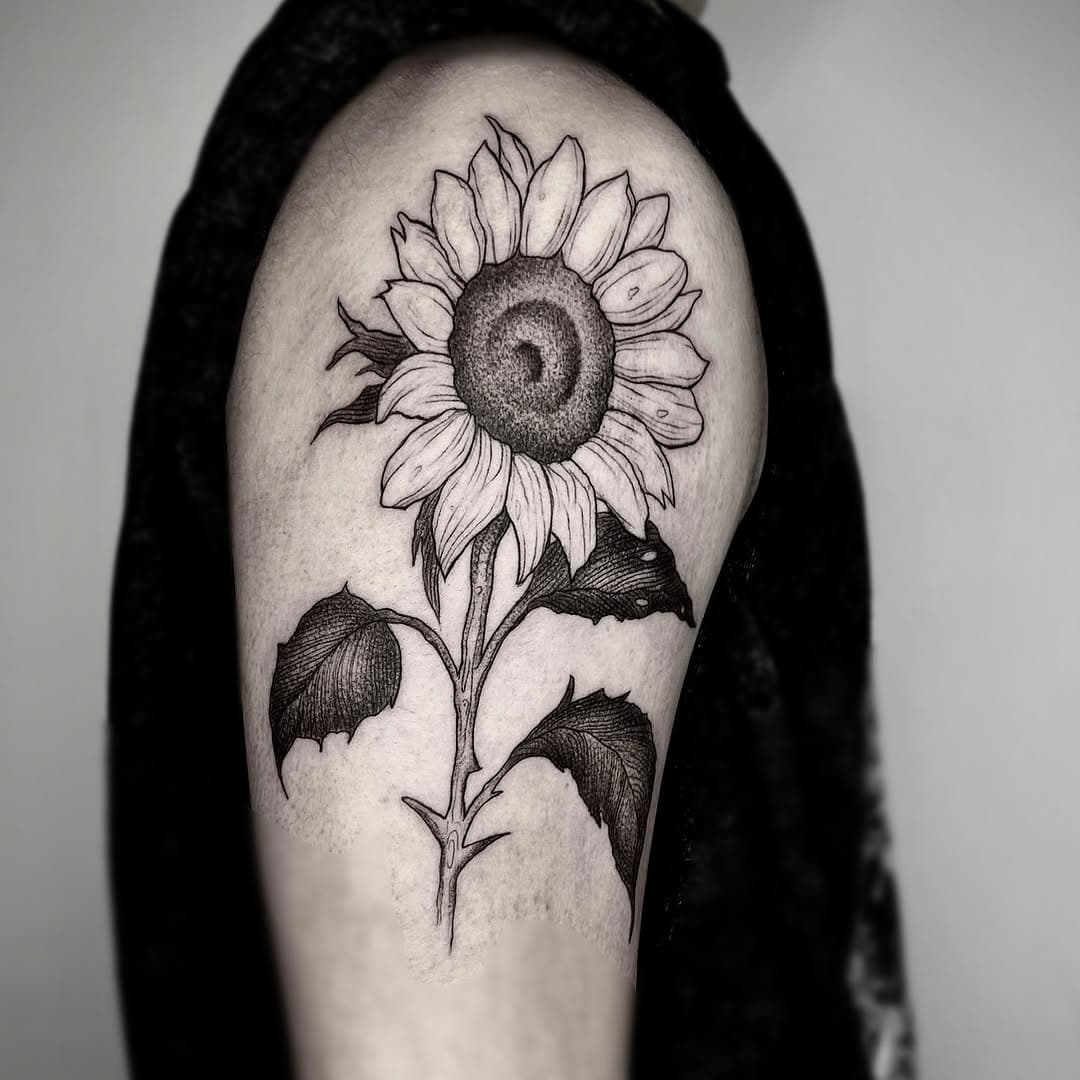 Para @otxho_  realizado 🙏🏻 en @thegoodfriends_tattoos 
Para citas e info privado o visita al estudio 
Whats al ☎️ 600 145 311 
Muchas gracias 😁🤟🏻➖➖➖➖➖➖
➖➖➖➖➖➖➖➖➖➖➖➖➖
#tattoo #blackwork #sunflowertattoo #engraved #albacetetattoo