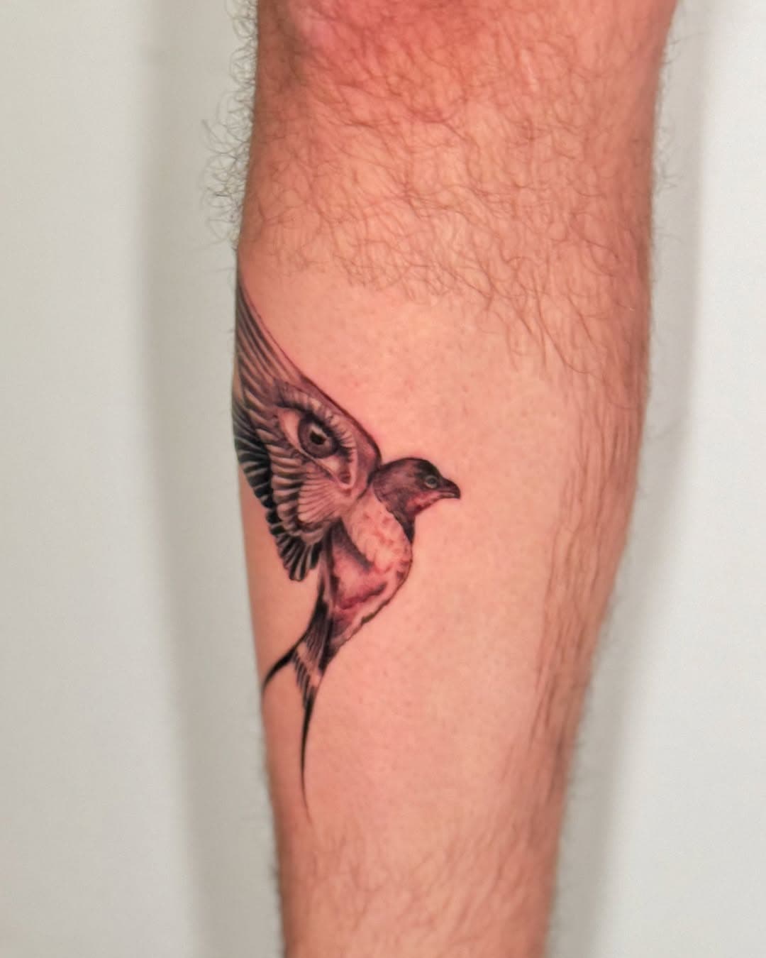Thank you to @massimo_a_ 
Beautiful piece bro thank you for the opportunity!

#birdtattoo #eyetattoo #shintattoo #blackandgreytattoo #arizontattoo #tucsontattoo #uofa