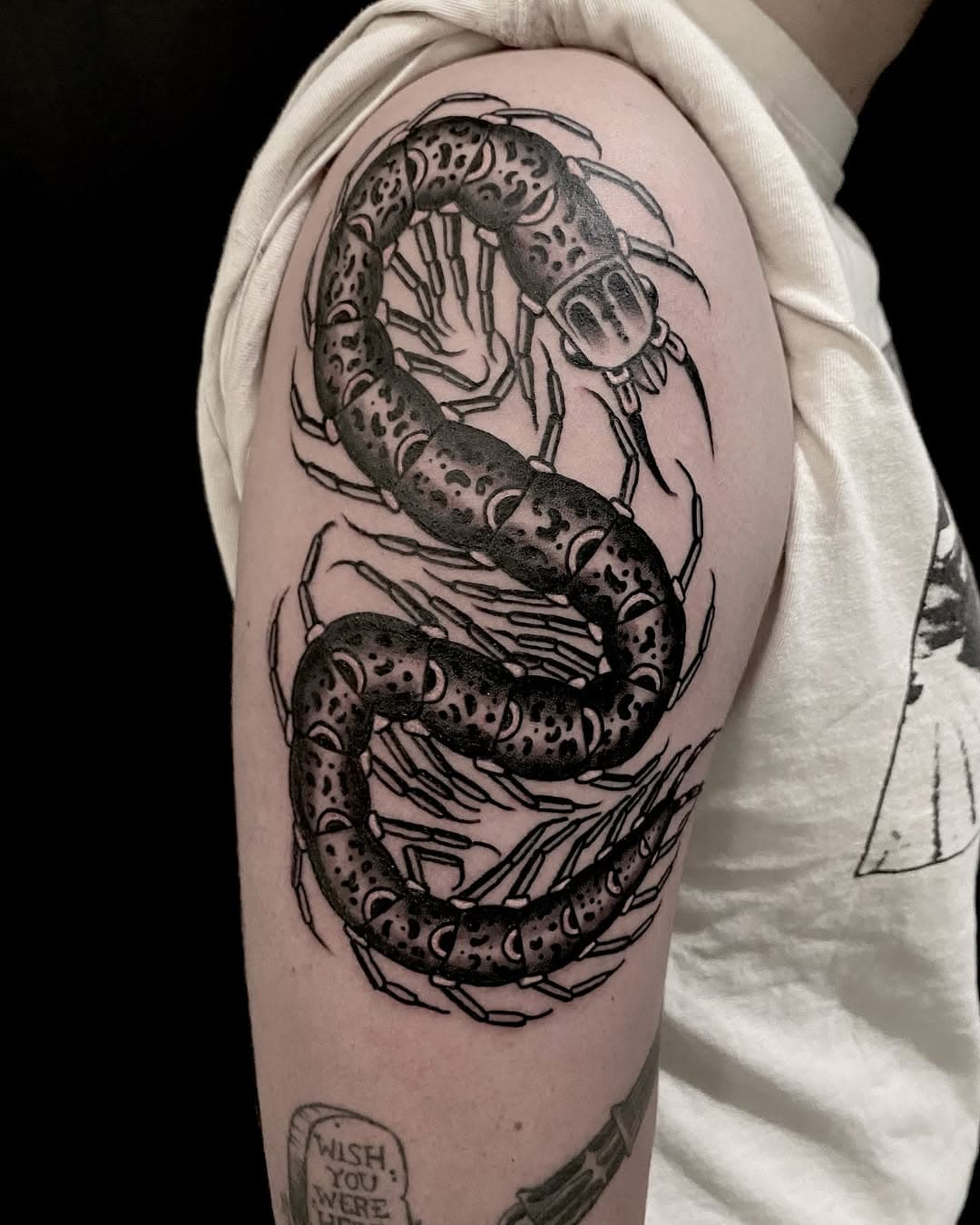 I got to make this sweet western centipede on my new buddy Dean here at @goodmedicinetattoo! Your ideas or mine always welcome!
#goodmedicinetattoo #albuquerquetattoo #505 #southwesternart #westerntraditional