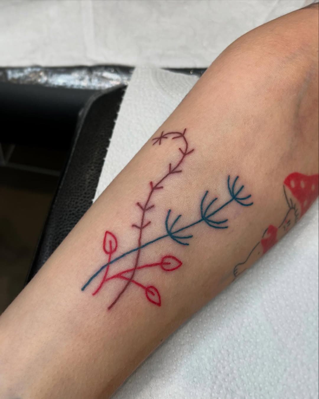 FLASH. Ramas jacínticas 🤎🪸🍂 medio marinas / medio terrestres. Elegimos una paleta de tonos más apagados. Gracias Naomi 

En @geiser.uvieu 🌋

#flashtattoo #coraltattoo #botanicaltattoo #simpletattoo #colortattoo #asturiastattoo #oviedotattoo #oviedoasturias #avilestattoo #gijontattoo #oviedomola #geiseruvieu #lajcnt