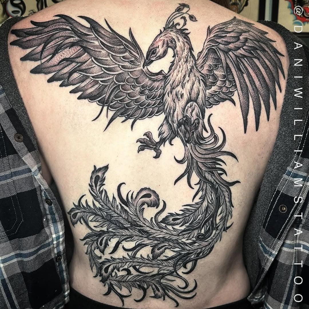 Phoenix back piece 🪶
Lines healed, all shading fresh
Books open on 1/11 for April-May
Made at @gardencitytattoos 
Beverly,MA