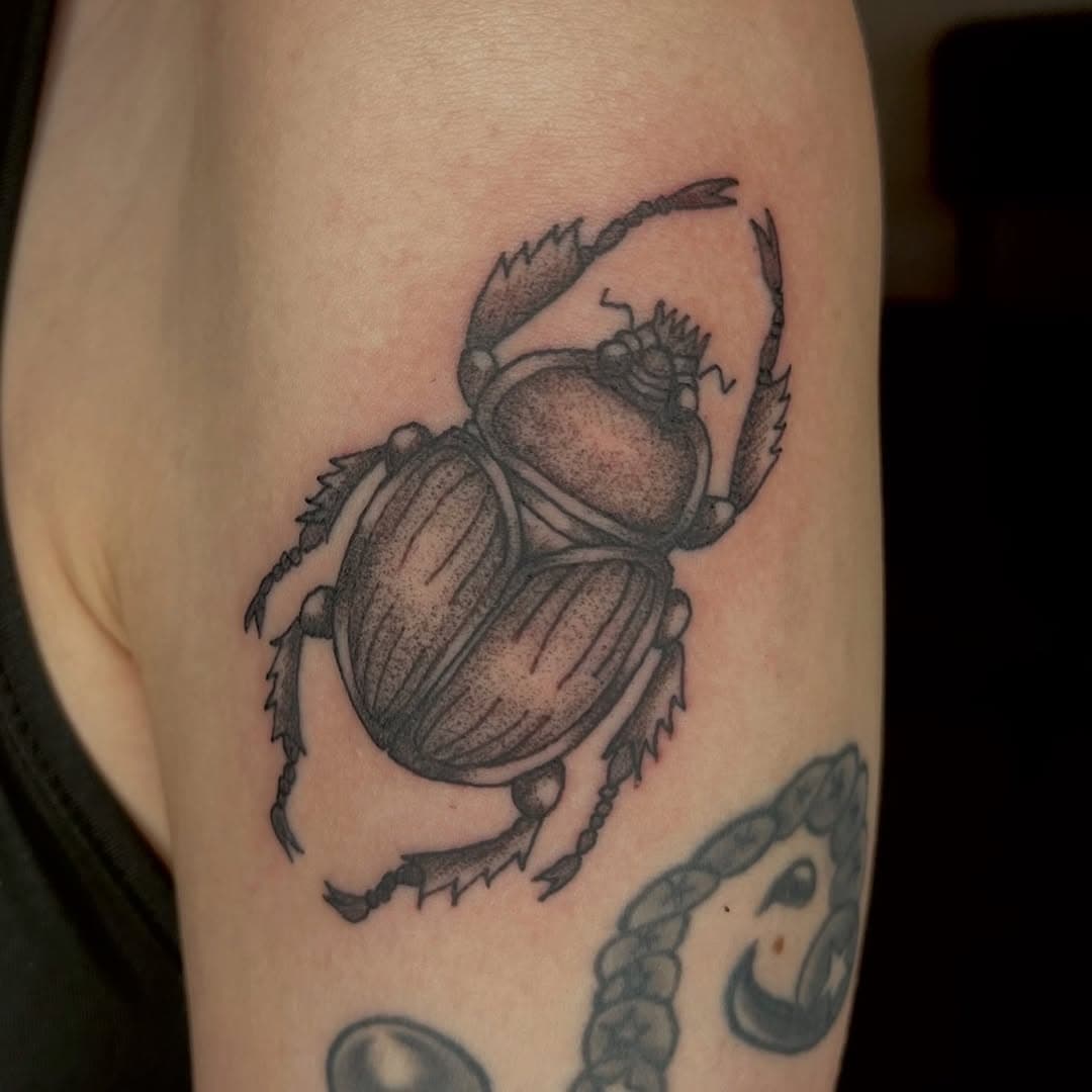 Beetle tattoo by @malee.inks To book an appointment with Malee DM her directly through her Instagram page @malee.inks 
#beetle #beetletattoo #portlandtattoo #pdxtattoo #portland #pdx #tattoo #tattooed #tattoos #rosecity #tattooingpdx #oregontattoo #oregon #portlandtattooartist #portlandtattooers #oregontattooartist #portlandtattooshops #flatirontattoo