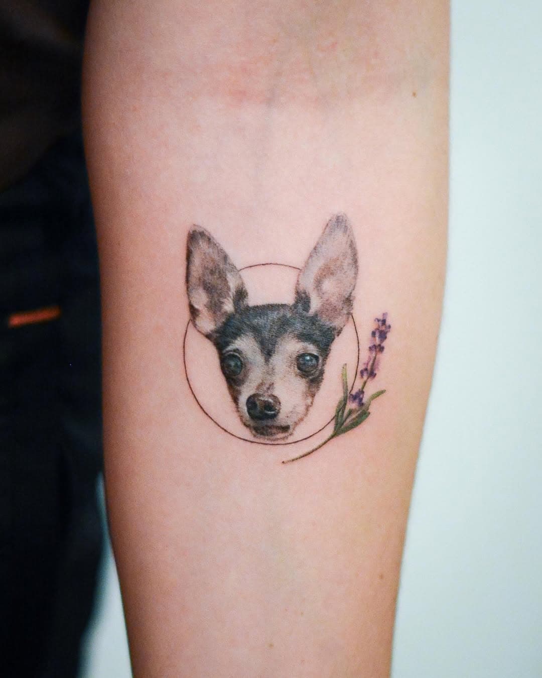 🐶🪻-booking link in bio. @tattooist_jason @area6tattoostudio 

#dogtattoo #pettattoo #flowertattoo #tattoo #tattooshop #tattooart #tattooideas #tattoo2me #tattooartist #tattooing #tattoolife #tattoodesign #tattooed #tattooinspiration #tattoolove #tattoolifestyle #flowertattoo