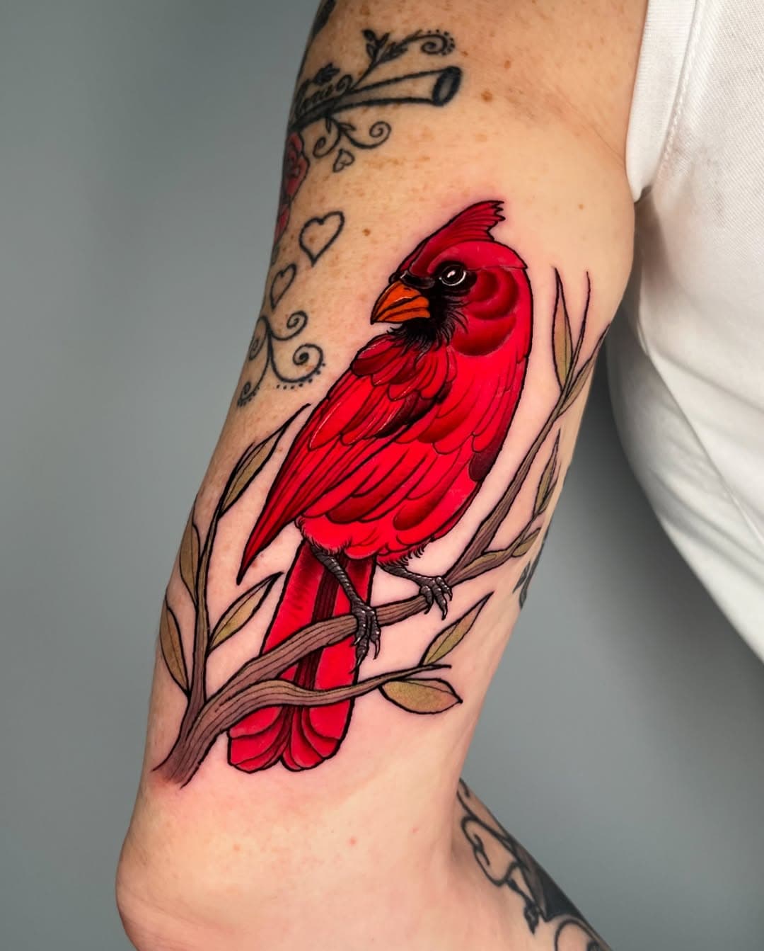 I got to wrap up 2024 tattooing this little cardinal for my Mum ❤️ I’m super stoked I got to finish off the year with this one and have some down time but I’m pretty excited to get back into tattooing for 2025 and work on some pretty exciting projects! I hope everyone had a safe new years and gets to achieve all their goals for the year ahead. I’ll be getting back to and doing emails for the remainder of the week so if you’re waiting for a response please keep an eye on your inbox. 
Made with @_numb_skulled products