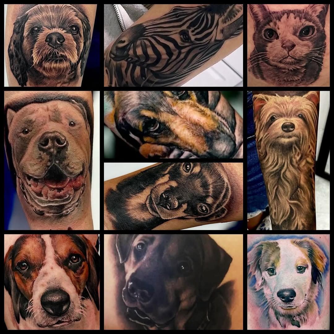 Animal/pet portraits have become some of my favorites to do. Looking forward to knocking out some more in 2025 🙏🏽🤙🏽🐈‍⬛🐶
#truevisionstattoo #818