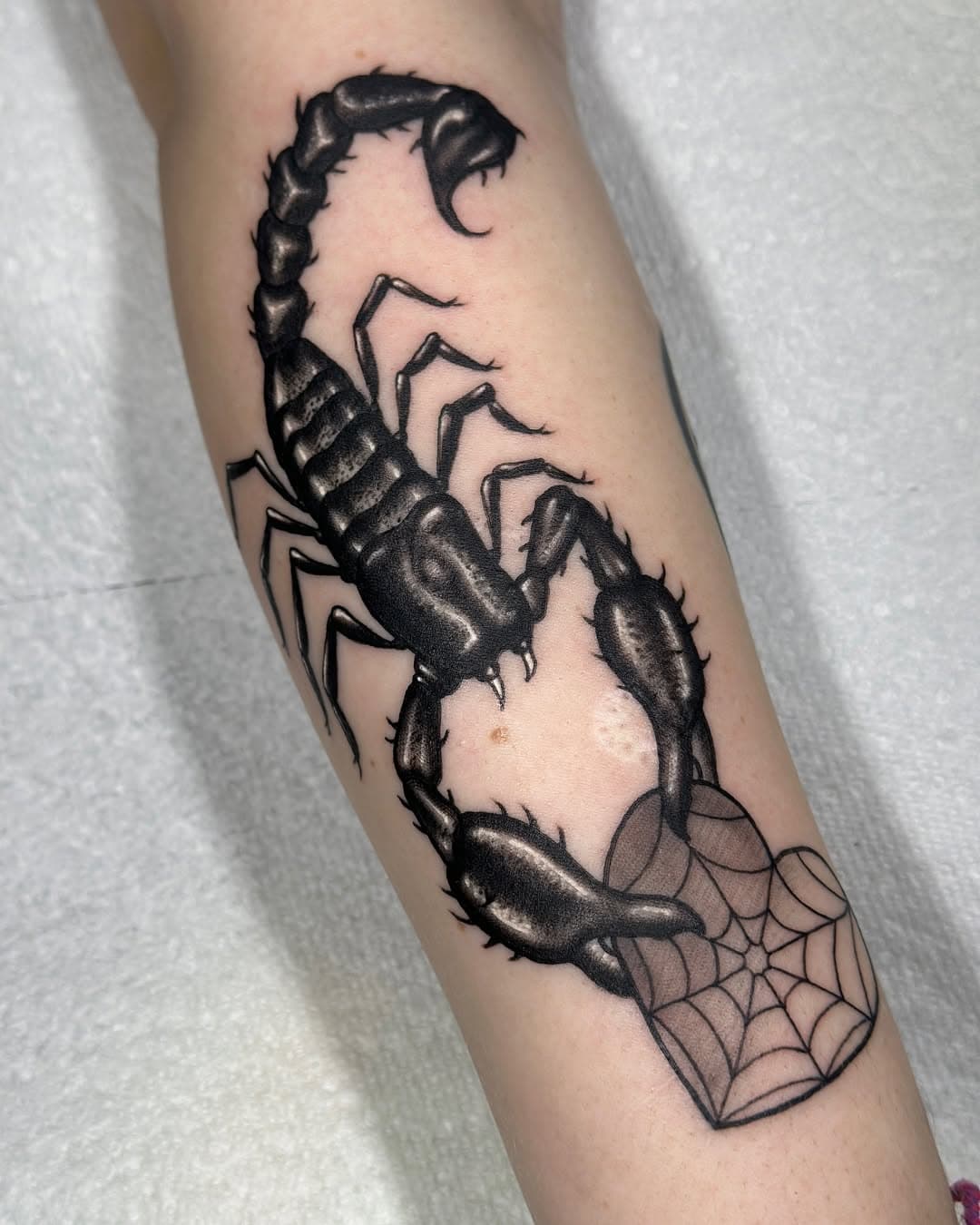 Best way to start the year! Scorpion creep for Ella! Thanks bud! 

#tattoo #tattoos #scorpiontattoo #scorpion #vancouvertattooartist #portmoodytattooartist #vancity #vancouver #portmoody #pnw #armtattoo