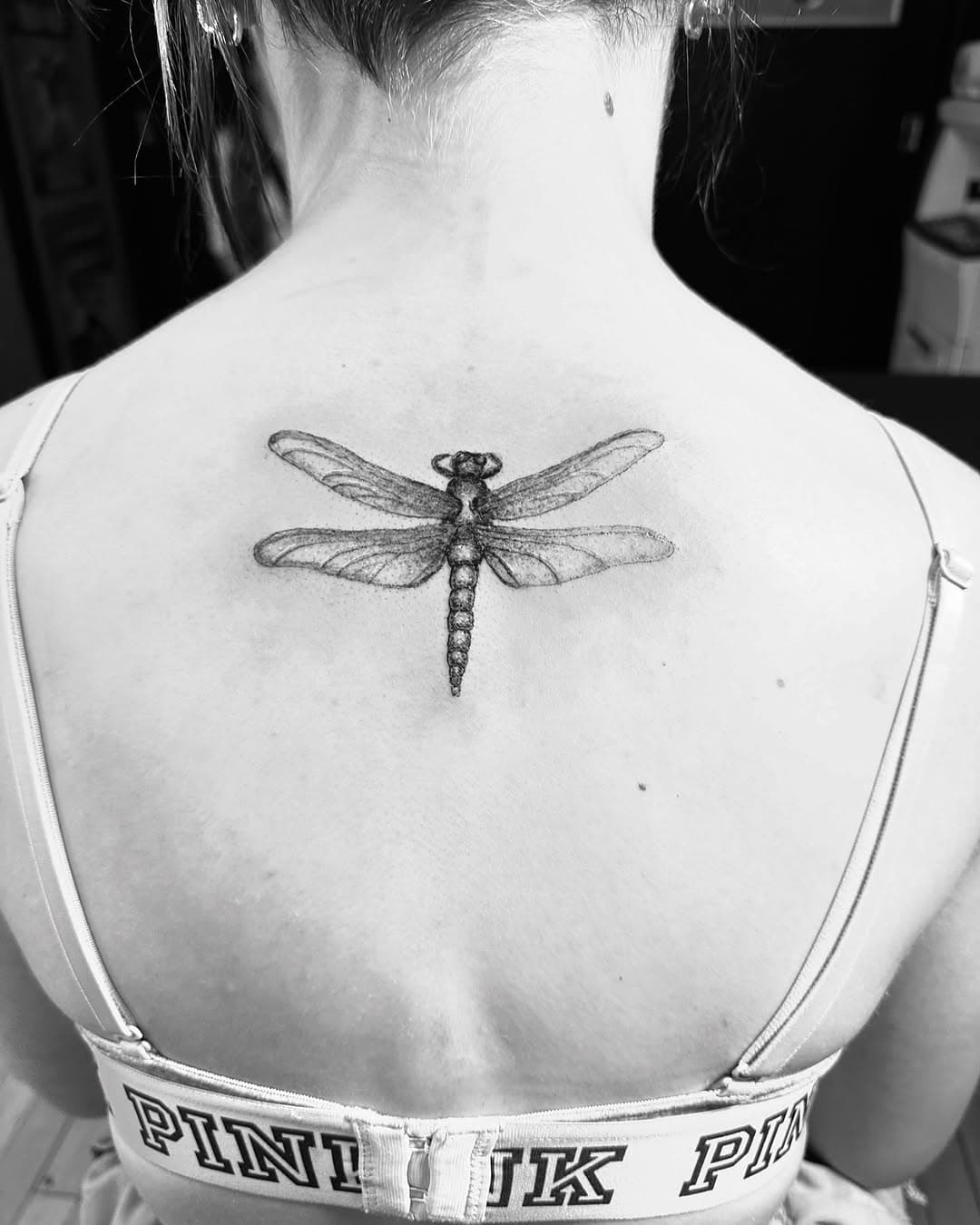 #walkintattoo #dragonflytattoo #starfishtattoo #tattoo #bodyart