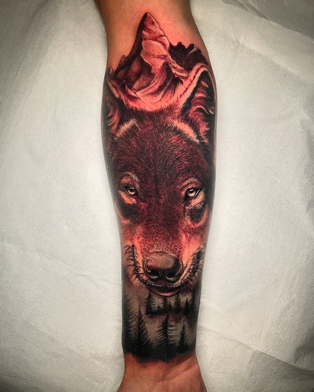 Otro lobo más de la serie hacemos tatuajes chulos 🙃🐺 esta vez acompañado de bosque y montañas 
.
.
.
.

.

.#lobotattoo #tattoolobos #lottitattoo